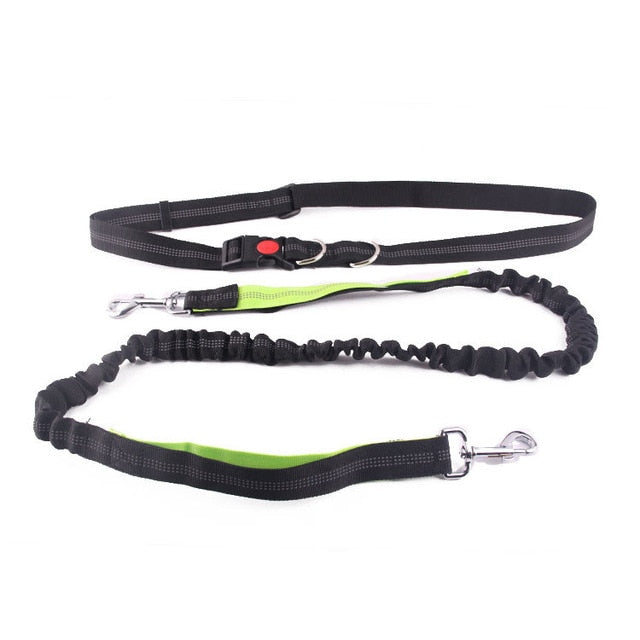 Dog Leash Belt Rope